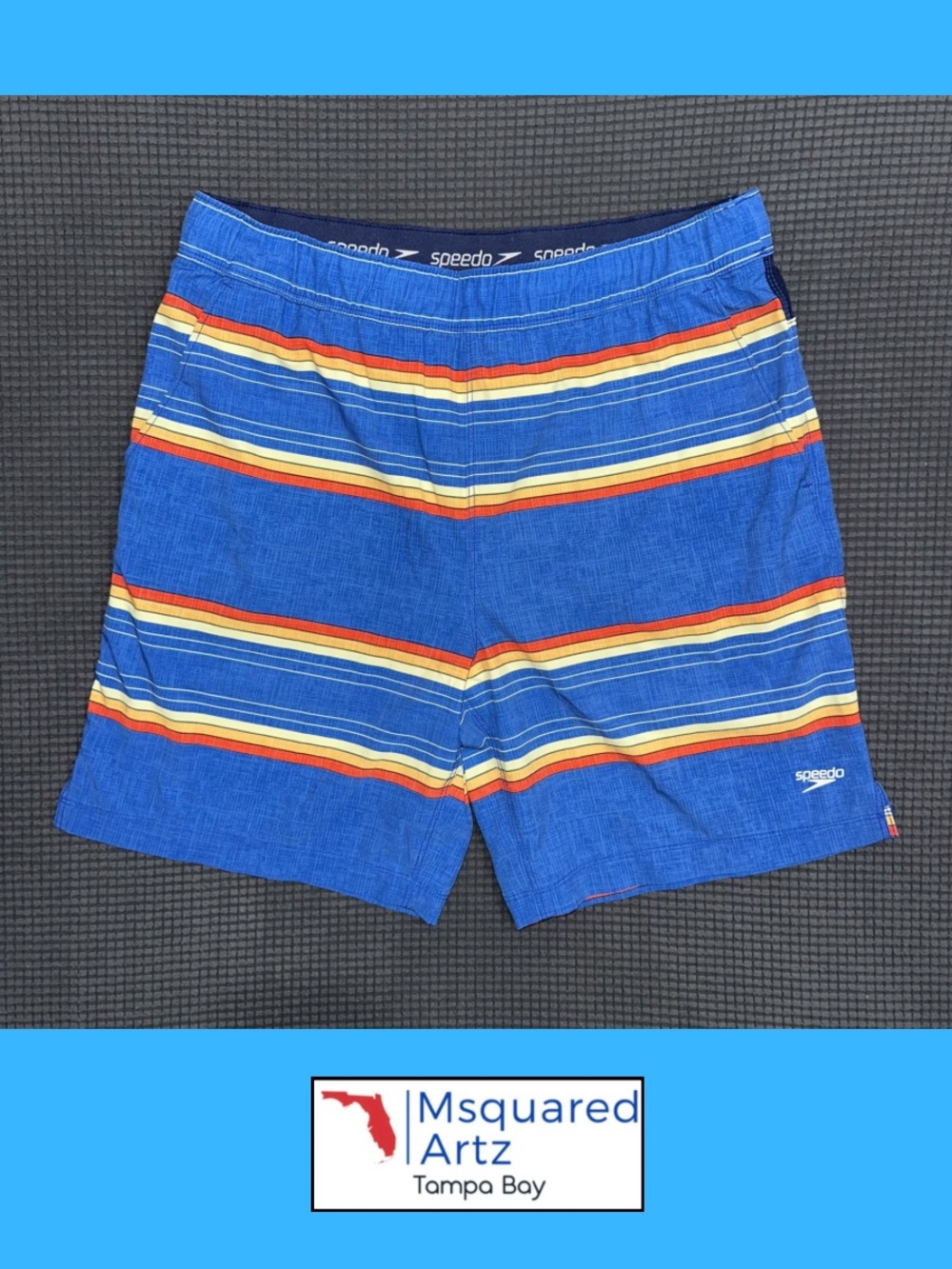 Speedo Mens Swim Trunks Blue Striped Compression Lined Shorts Size M